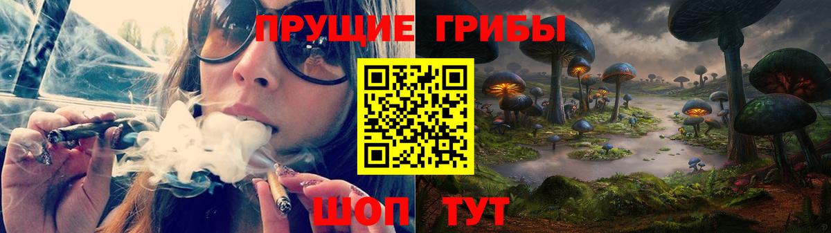 Псилоцибиновые грибы прущие грибы  Вход с VPN  Междуреченск 